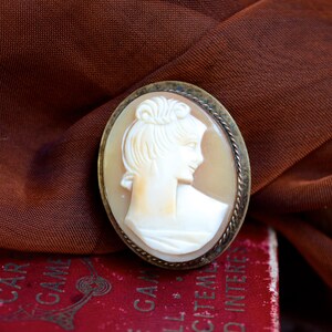May include: A cameo brooch featuring a woman's profile in white on a shell background, set in a gold-toned oval frame.