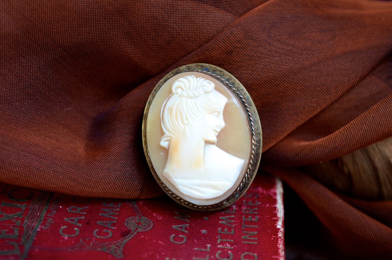 May include: A cameo brooch featuring a woman's profile in white on a shell background, set in a gold-toned oval frame.