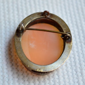 May include: A silver-toned cameo brooch with a pink cameo set in a silver-toned oval frame. The brooch has a pin and catch closure on the back.