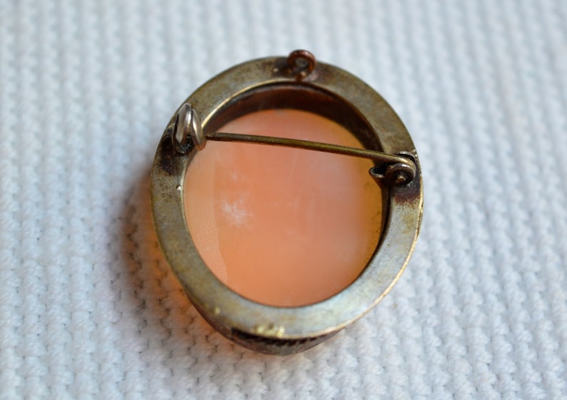 May include: A silver-toned cameo brooch with a pink cameo set in a silver-toned oval frame. The brooch has a pin and catch closure on the back.