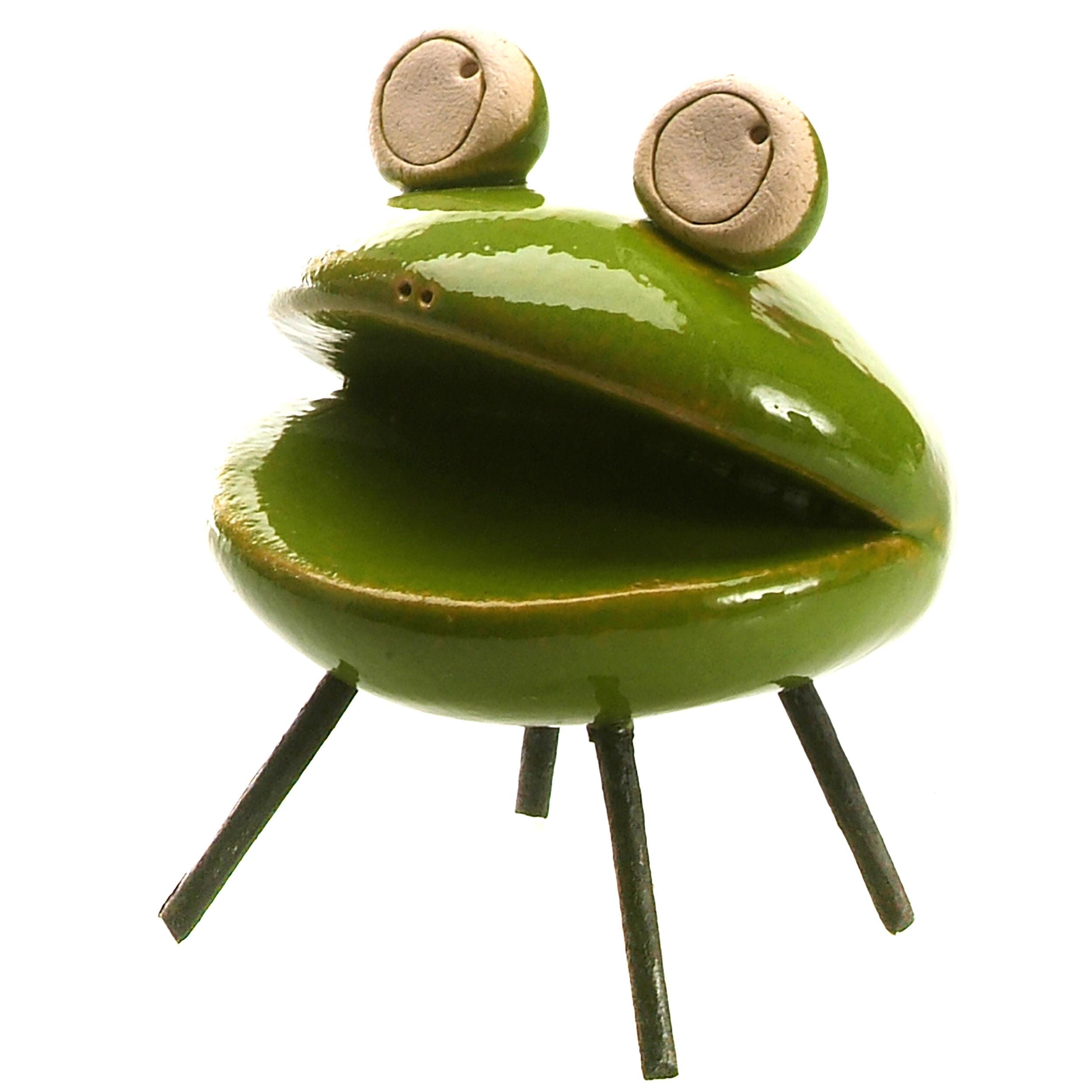 小物 Frog il_fullxfull.8121640954_qv6d.jpg