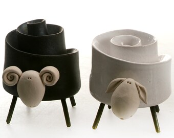 Mr & Mrs Twisted Sheep and Ram | Ram or Sheep