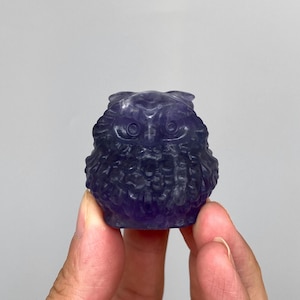Può includere: Una piccola statuetta di gufo scolpita in pietra minerale traslucida di colore viola intenso. La scultura presenta occhi circolari dettagliati, un piccolo becco e motivi di piumaggio strutturati sul corpo, che mostrano variazioni di colore naturali.