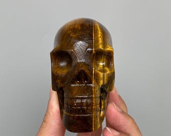 Tiger’s Eye Skull Carving, Unique Crystal Decor A806