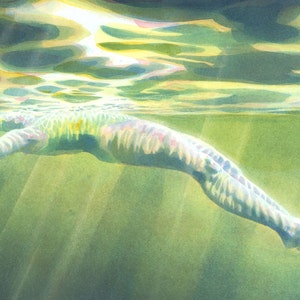 Hiatus  by Nancy Farmer. Art print from a painting. Open image 2