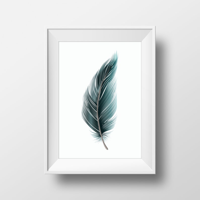 May include: A framed print of a single teal blue feather on a white background.