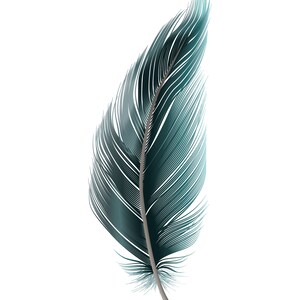 May include: A single teal feather with a white background.