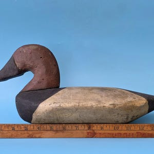 K&ouml;nnte beinhalten: Ein h&ouml;lzerner Entenk&ouml;der im Vintage-Stil mit braunem Kopf und schwarzem Schnabel. Der K&ouml;rper ist in Schwarz-, Beige- und Wei&szlig;t&ouml;nen bemalt. Der K&ouml;der ist etwa 30 cm lang und liegt auf einem Holzlineal vor blauem Hintergrund.