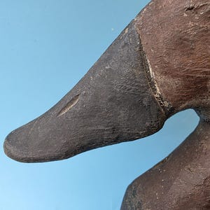 K&ouml;nnte beinhalten: Nahaufnahme eines geschnitzten Holz-Entenk&ouml;ders. Der Entenschnabel ist dunkelgrau, mit einer helleren Linie, die hineingeschnitzt ist. Der K&ouml;rper ist dunkelbraun. Der Hintergrund ist hellblau.