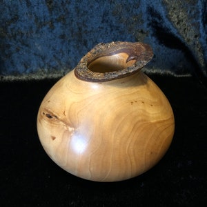 Hollow Form