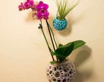 DIY Kokedama Orchid Pot Hanging Planter Air Plant Holder Moss Ball - Voronoi Design for Bonsai Orchids and More