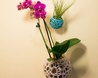 DIY Kokedama Orchideentopf Hängeampel Luftpflanzenhalter Moosball - Voronoi Design für Bonsai Orchideen und Mehr