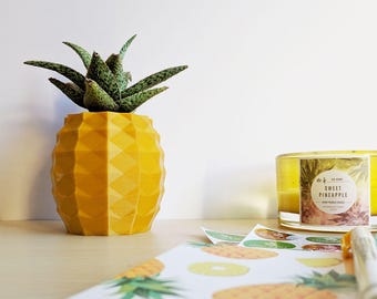 Aloe Pineapple Planter, Pineapple Succulent Planter, Golden Pineapple Aloe Holder, Pineapple Planter, 3d Printed Pineapple, Pineapple Pot