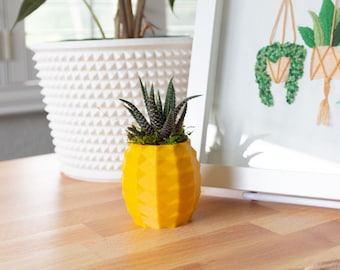 Small Pineapple Succulent Pot, Pineapple Planter for Haworthia, Pineapple Succulent Planter, Cute Pineapple Pot, Succulent Pineapple