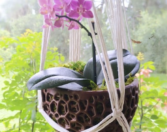 DIY Orchid Hanging Planter; Kokedama for Orchids, Succulents; DIY Hanging Orchid Pot; Unique Hanging Pot; Wide Hanging Orchid Planter