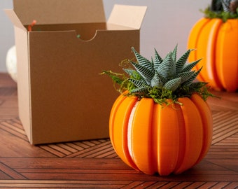 Haworthia Succulent Pumpkin Thanksgiving Hostess Gift Box, Fall Succulent Gift Box, Thanksgiving Giftbox for Plant Lover