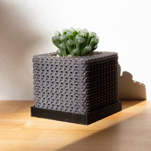 May include: A small succulent plant with green leaves in a gray, textured, square planter with a black base.