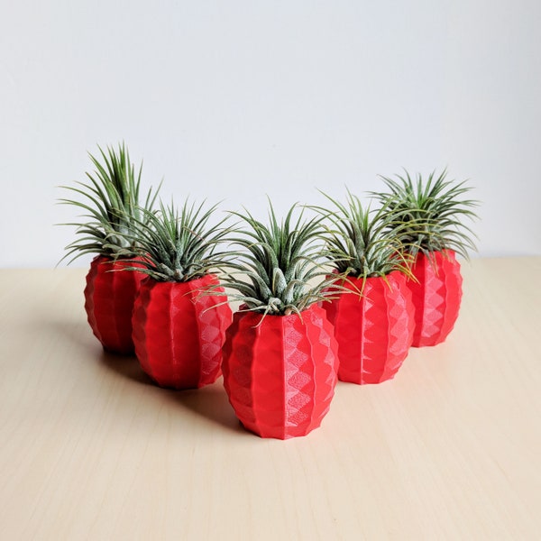 BULK WHOLESALE - Set of 5 Pineapple Air Plant Holders, Pineapple Airplant, Geometric Air Plant, Air Pineapple Pot - Wedding favors