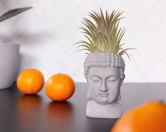 Small Stone Buddha Air Plant Holder, 3D Printed Buddha Head Air Planter with Granite Rock Texture