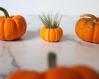 Soporte de planta de aire de calabaza para regalo de planta de aire, mini contenedor único de planta de aire, plantador de aire de calabaza, maceta pequeña, plantador de calabaza