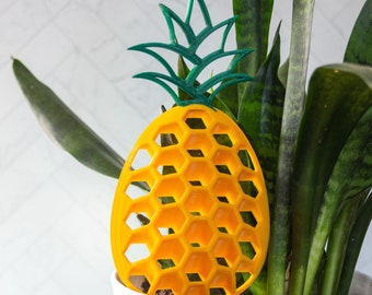 Pineapple Trellis for Planter Decoration, Hoya Trellis w Honeycomb design, Wood Indoor Plant Trellis - Earrings and Plant Clips Not Included