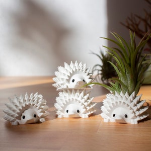 Single Mini Hedgehog Planter, Mini Hedgehog Pot, Tiny Succulent Planter, Tiny Hedgehog Air Planter NOVELTY Planter, SPECIALTY Tiny Planter image 7