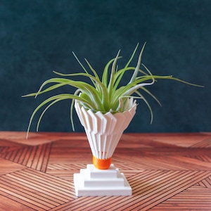 Puede incluir: Un macetero blanco impreso en 3D con forma de volante de bádminton con una base naranja. Una planta de aire verde está creciendo dentro del macetero.