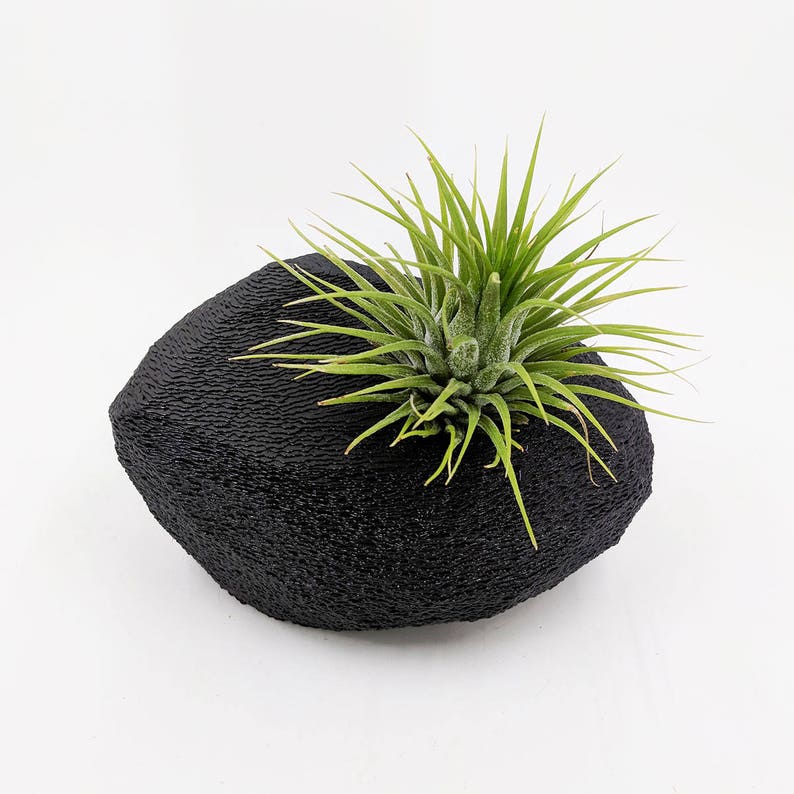Modern Rock Air Plant Holder, Stone-Shaped Air Plant Holder Glitter & Other Color Options Glam Hygge, Fancy Air Plant image 9