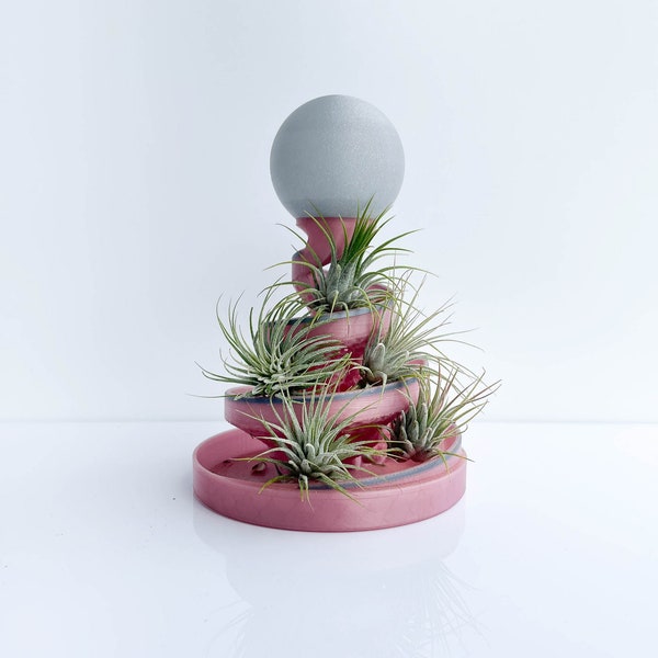 Swirl Planter - Classic - Epiphyte Airplant Stand, Air Plant Holder, Air Plant Display, Plant Shelf, Air Plant Planter