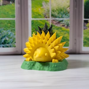 Young Hedgehog Planters Spring Collection, Say Hello Spring with Cute Planter, Small Plant Pot with Drainage, Hedgehog lover gift