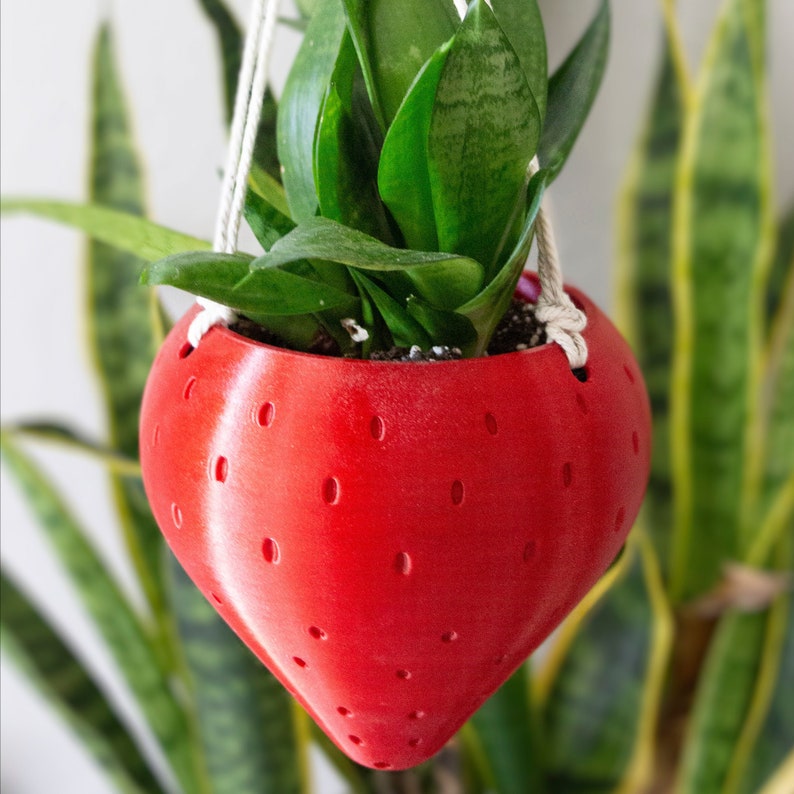 Medium Strawberry Hanging Planter for Snake Plants Outdoor Etsy