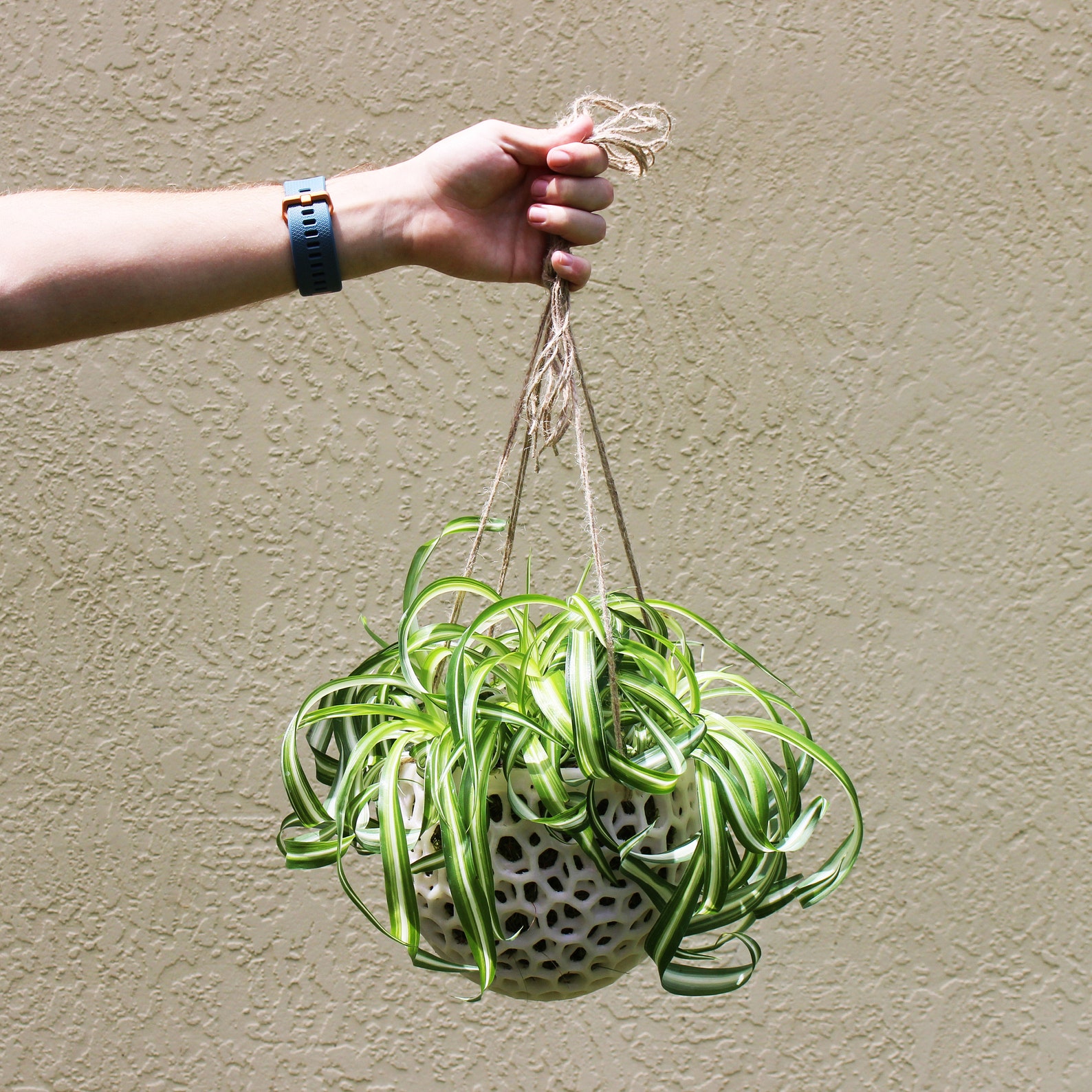 DIY Orchid Hanging Planter Kokedama for Orchids Succulents Etsy