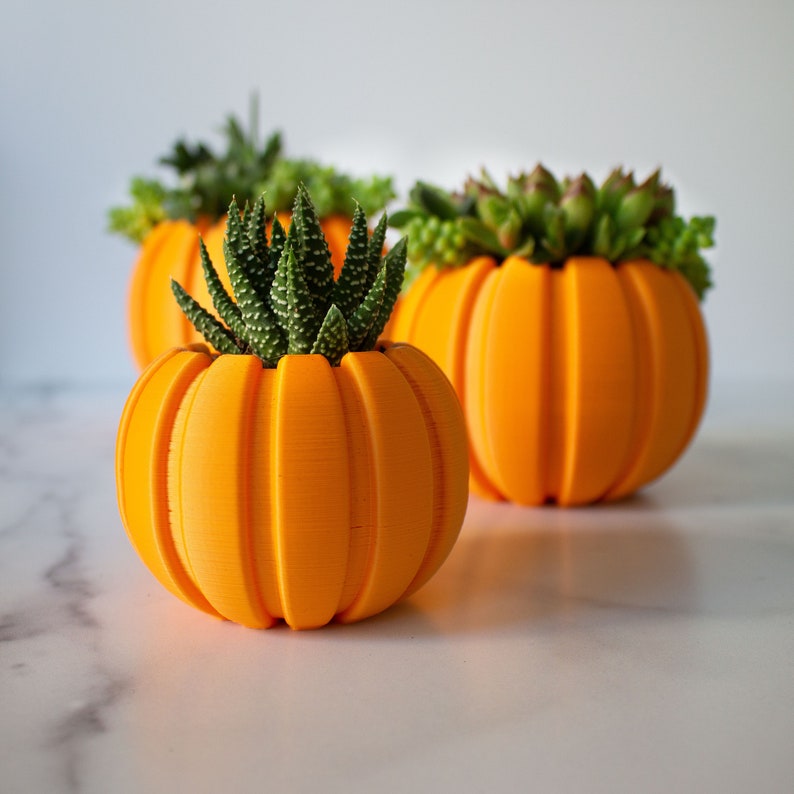 Succulent Pumpkin Planter, Fall Succulent Planter, Autumn Pumpkin Pot, Fall Decor Pumpkin, Thanksgiving Pumpkin, Thanksgiving Table Decor image 3