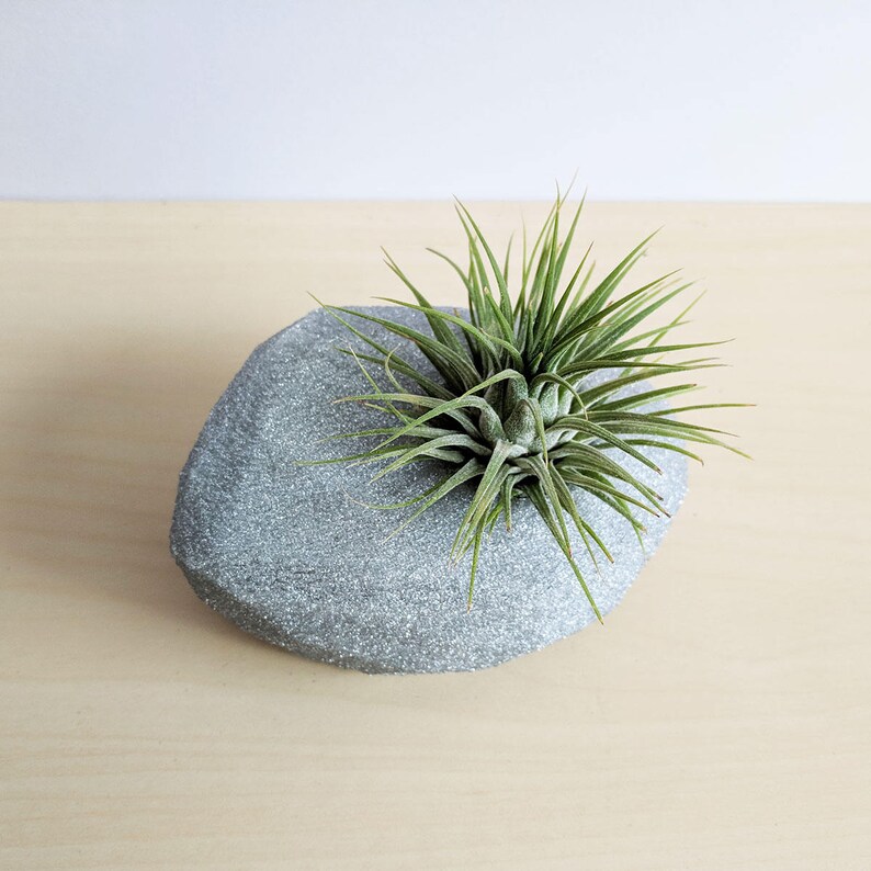 Modern Rock Air Plant Holder, Stone-Shaped Air Plant Holder Glitter & Other Color Options Glam Hygge, Fancy Air Plant image 3