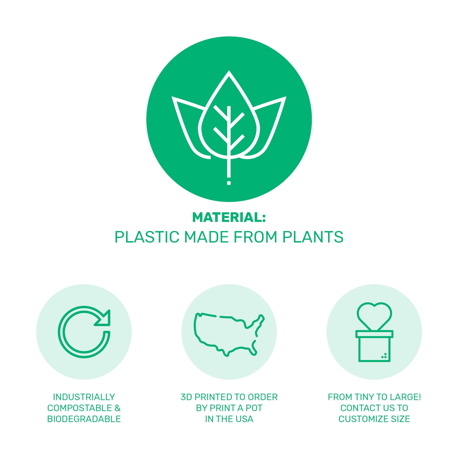 Pineapple Air Plant Holder as a Gift for Her Gift for Him Etsy