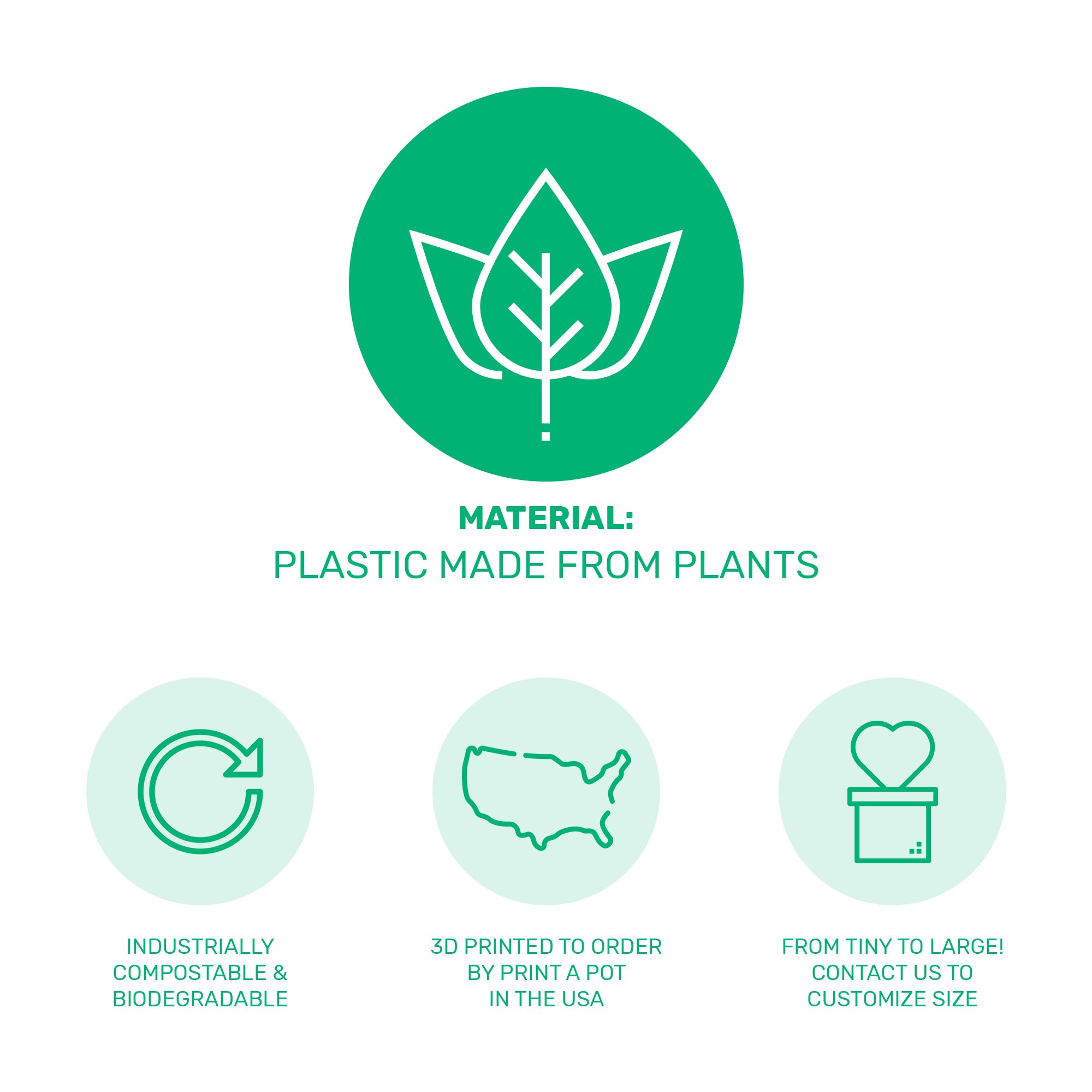 Pineapple Air Plant Holder as a Gift for Her Gift for Him Etsy UK