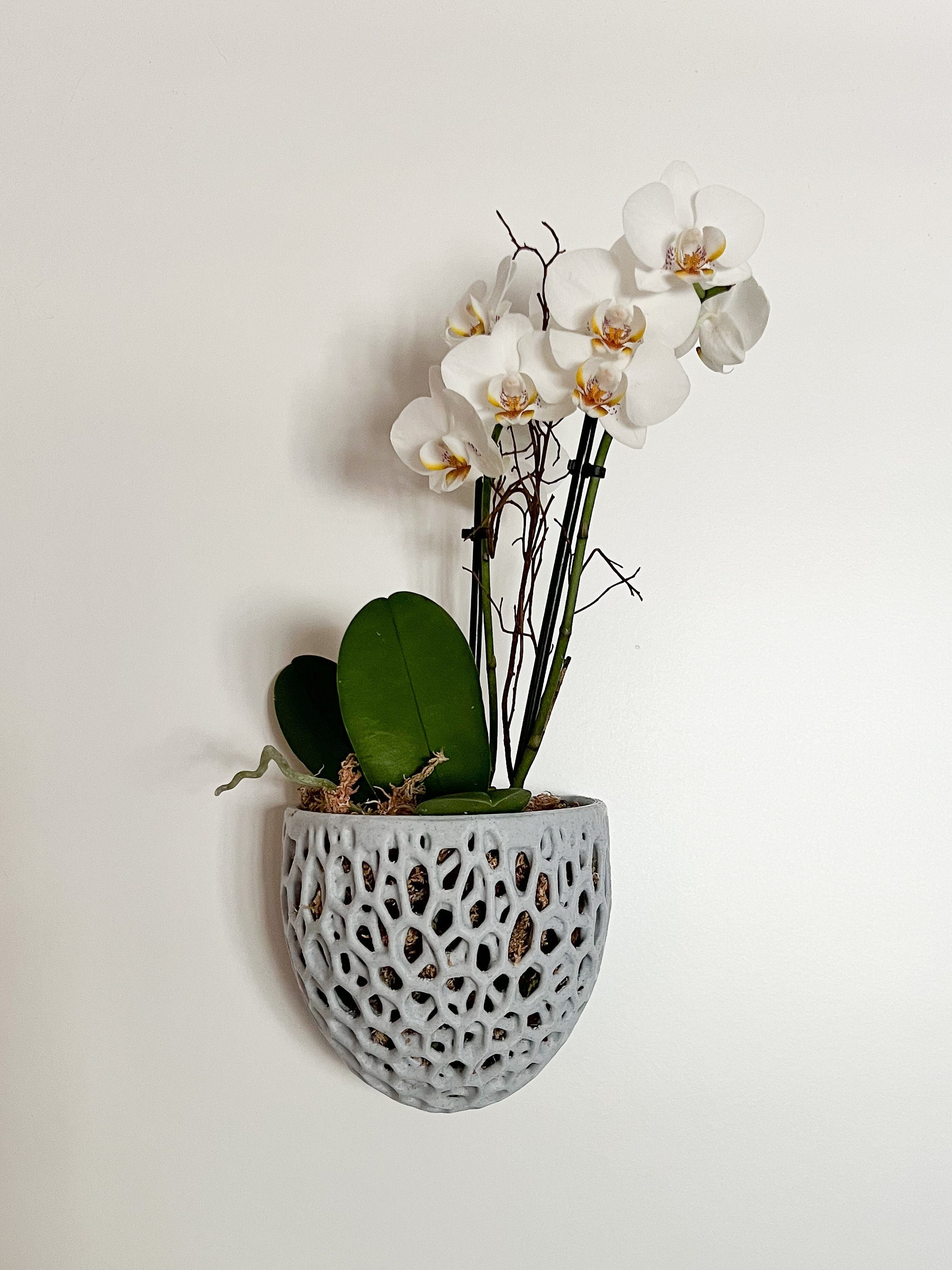 Orchid Wall Planter Hanging Orchid Pot Fence Planter Made Etsy Australia