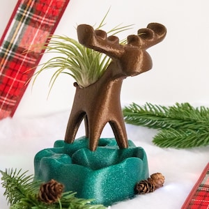 Moose Air Plant Holder and Succulent Planter, Cute Moose, Animal Planter, Moose Decor, Tabletop Planter, Room with a Moose, Airplant Stand