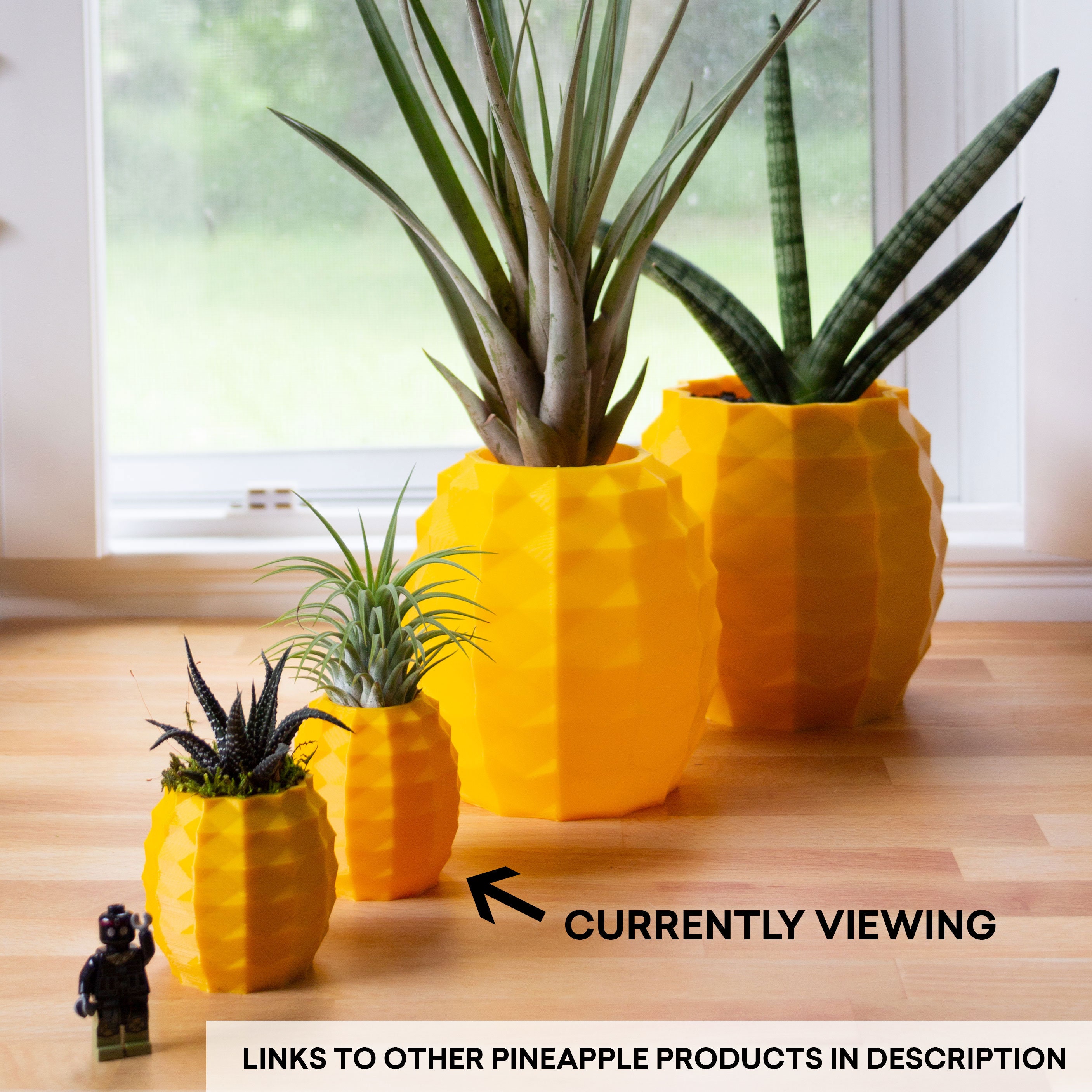 Pineapple Air Plant Holder Pineapple Airplant Geometric Air Etsy