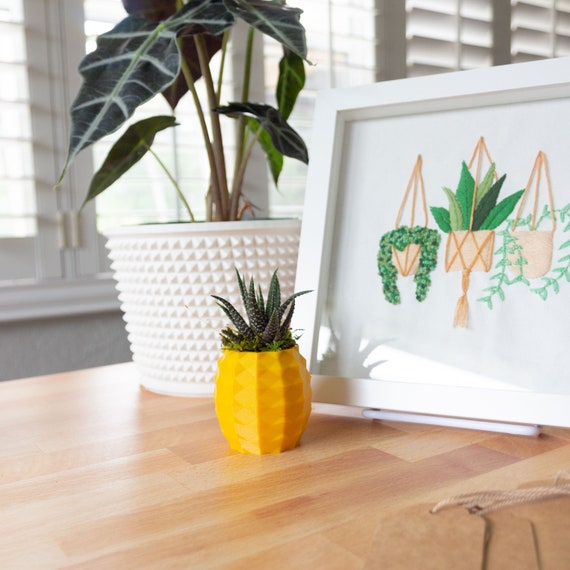 Small Pineapple Succulent Pot, Pineapple Planter for Haworthia, Pineapple  Succulent Planter, Cute Pineapple Pot, Succulent Pineapple - Etsy