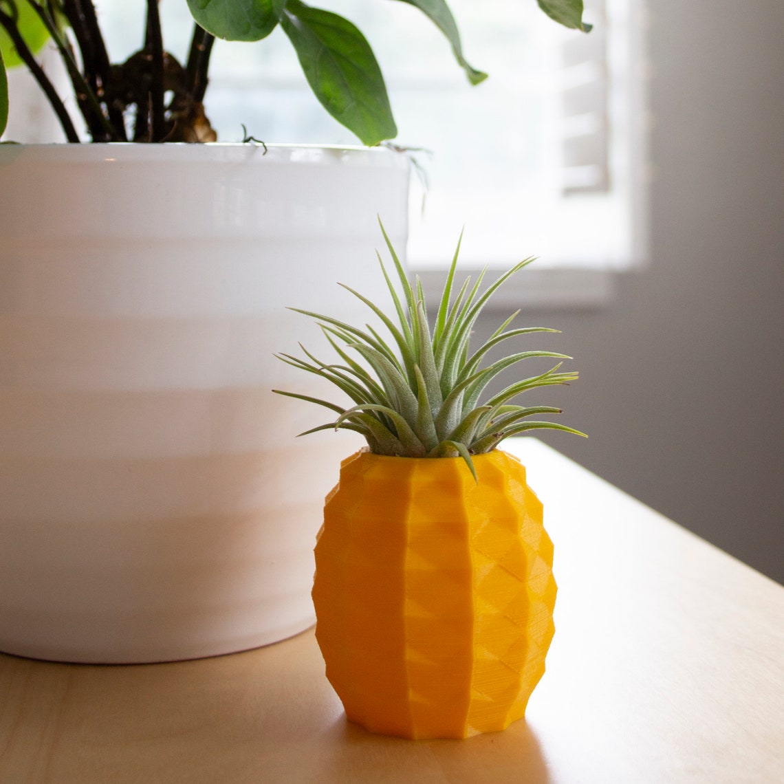 Pineapple Air Plant Holder Pineapple Airplant Geometric Air Etsy