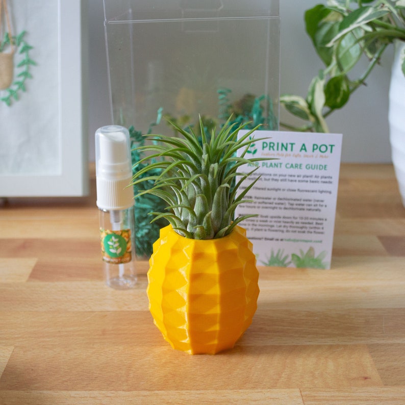 a pineapple shaped planter sitting on top of a wooden table