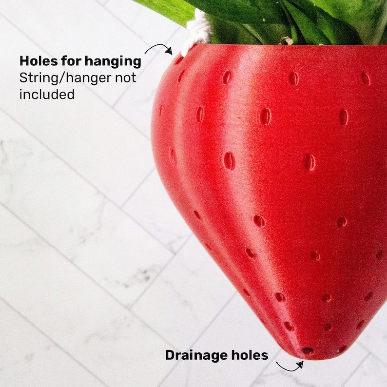 Medium Strawberry Hanging Planter for Snake Plants Outdoor Etsy