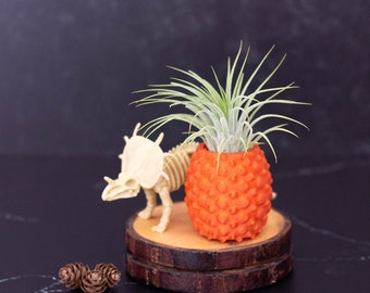 LIMITED EDITION Burnt Orange Dragon Egg Air Plant Holder