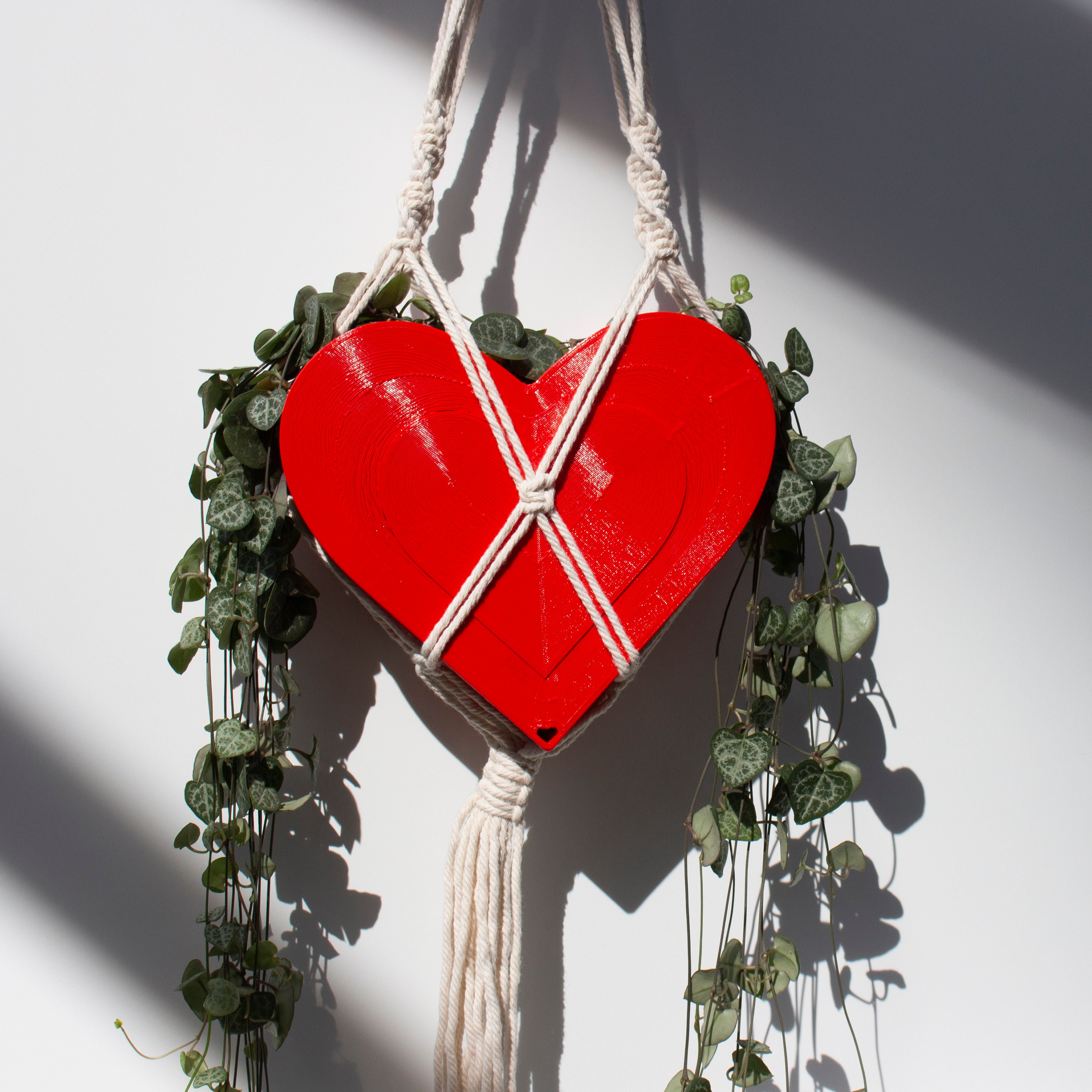 Planter à Cœur Suspendu, Applique de Cœur, Jardinière La Saint-Valentin, Pot Jour en V, Forme - Jard