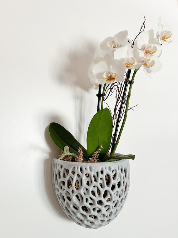 Pot orchidee 13 cm transparent Masgabana - Central Jardin