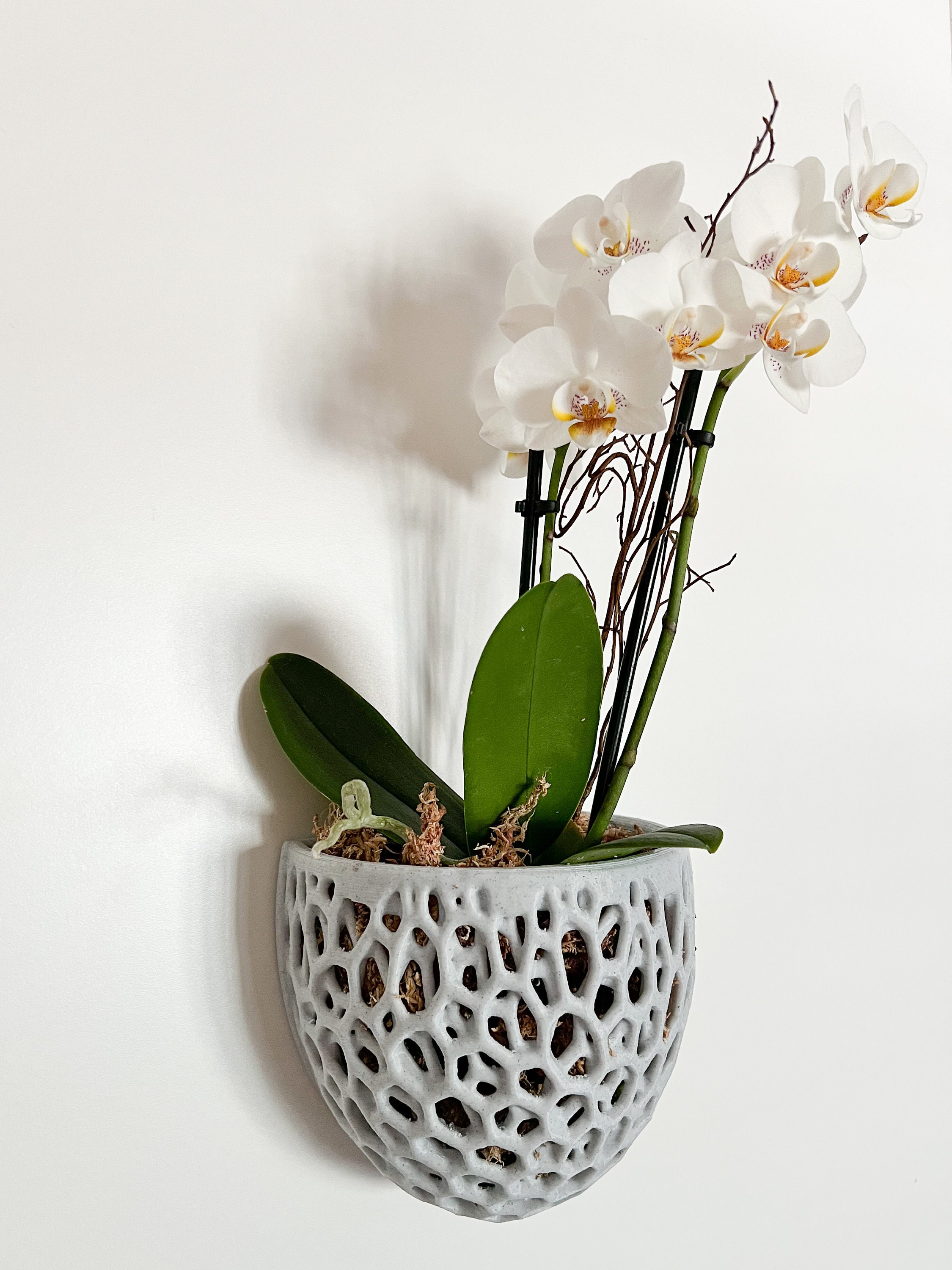 Orchid Wall Planter Hanging Orchid Pot Fence Planter Made Etsy Australia