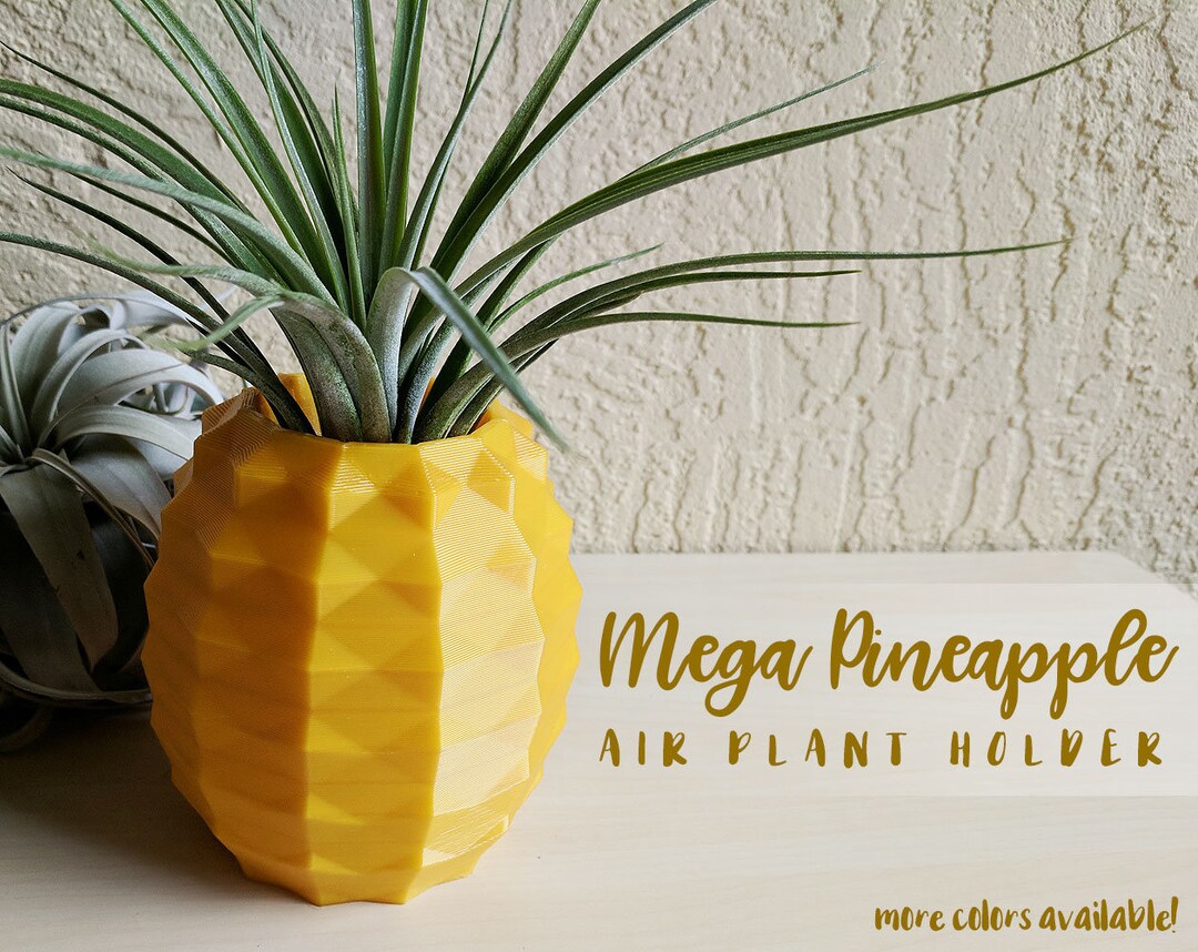 Mega Pineapple Pot, Geometric Air Plant Holder, Air Pineapple, Air
