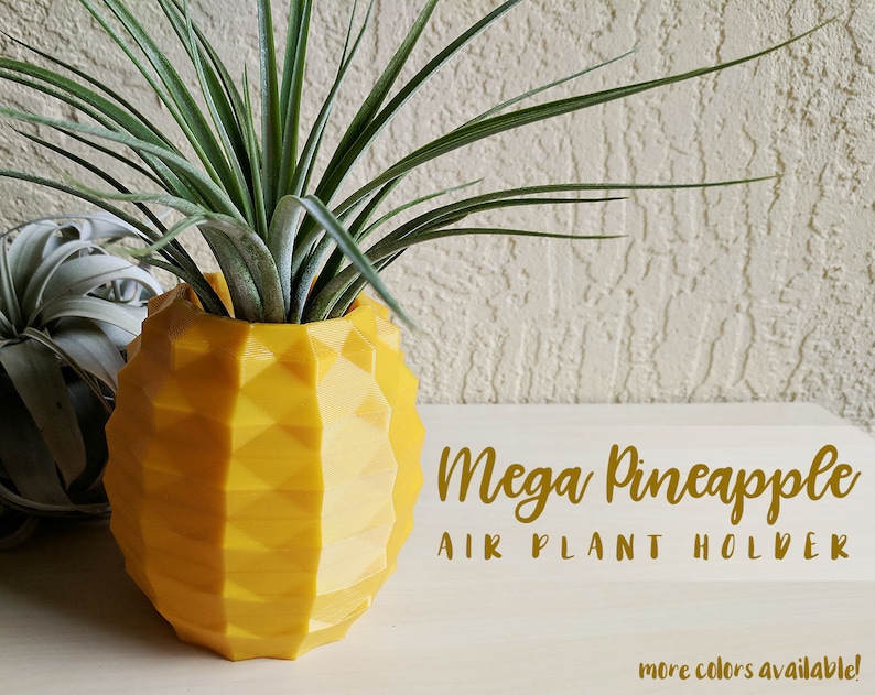 Mega Pineapple Pot Geometric Air Plant Holder Air Pineapple Etsy