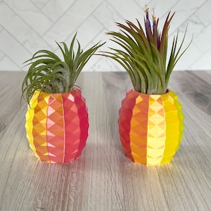 May include: Two pineapple-shaped planters in yellow, orange, and red, each holding a green air plant. The planters have a geometric design and sit on a wooden surface. One plant has purple flowers.